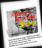 Anatomy of a Brick Wall Book Cover